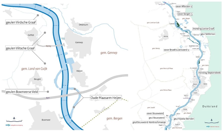 Bericht Ecologische verbeterplannen ter inzage voor 14 locaties langs de Limburgse en Brabantse Maas bekijken